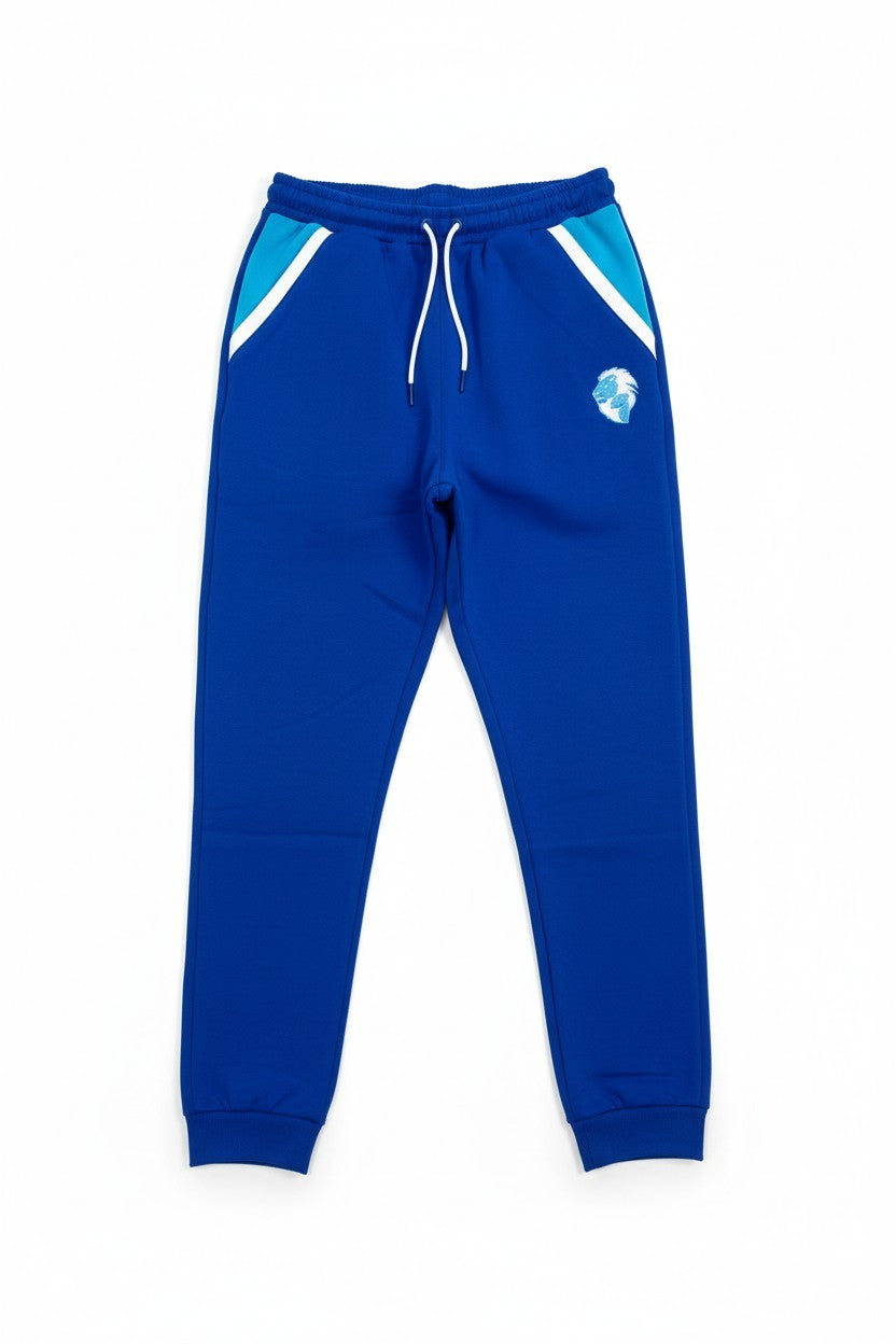Blue Jogger Set